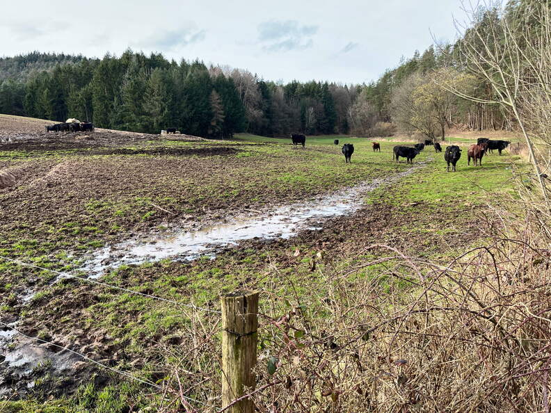 24-03-01 15-44-48 8884